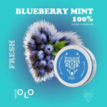 WHITE OLO Nicotine Pouches 18mg Blueberry mint